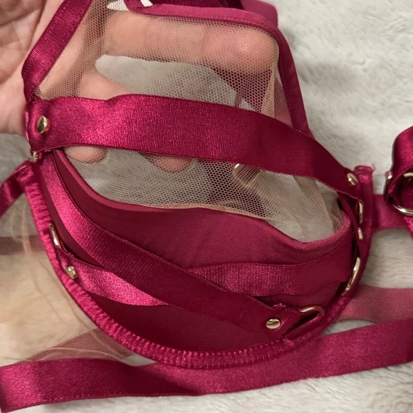 Honey Birdette Stephanie Red Bra Thong Set - 36DDD/F - Picture 6 of 13